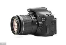 學攝影8000預算選相機，買單反or微單？套機or單機？這麼選很簡單-酷播亮新聞