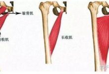 腰痛、痛經、腿型、骨盆不正等，這一個動作就調了！-酷播亮新聞