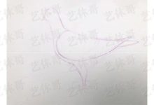 一步一步學畫鴿子-酷播亮新聞