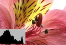 初學者攝影提示：直方圖簡化-酷播亮新聞