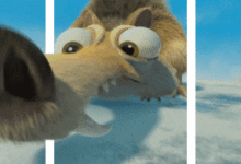 構圖丨攝影-酷播亮新聞