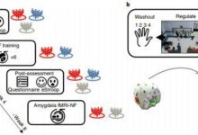 腦科學日報|《自然》《科學》有九成觀點不正確——本庶佑答記者問；子宮可在記憶中扮演重要角色；生物智能可能是解決AI發展瓶頸的關鍵-酷播亮新聞