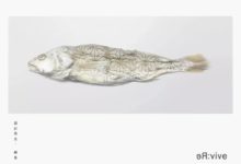 看了那麼多年「星爺」的電影，你真的了解「鹹魚」么？-酷播亮新聞