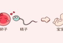 男子一次排2000千萬個精子，進入女性體內最終都去了哪裡呢？-酷播亮新聞