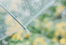 2019年說說大全最新的 苦難都會隨時間消散-酷播亮新聞