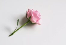 2019年心理學發展十大趨勢-酷播亮新聞