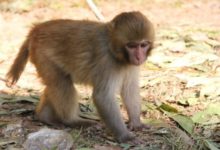 原來宇宙早就有意識了，科學家：它可能隨時在「監視」人類！-酷播亮新聞