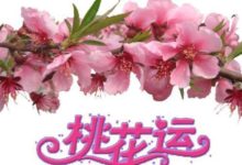 我知道你等這些冷知識很長時間了，現在他來了-酷播亮新聞