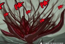 屍兄：小金剛的三大底牌，葫蘆只是身外物，王牌讓龍右也無可奈何-酷播亮新聞