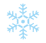 無脊椎動物里的大「大王」和二「大王」-酷播亮新聞