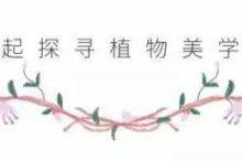 吃了那麼久的甘蔗，你知道它還能治痛經嗎？-酷播亮新聞