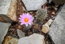 美國心理學協會告訴你，應該如何培養「韌性」-酷播亮新聞