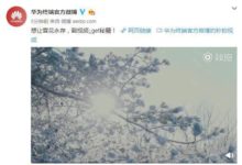 華為Mate 20超微距攝影 發現生活中的每一個小感動-酷播亮新聞