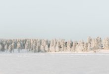 從此愛上下雪天 雪景攝影與冬季​相機​使用技巧-酷播亮新聞