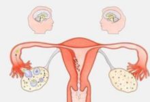 月經結束後幾天是「排卵期」？或許看完後你就知道了！-酷播亮新聞