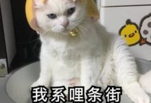 2018時裝之夜竟成「車禍現場」？！宋祖兒發福，江疏影變老……-酷播亮新聞