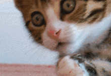 緊急！多名女性受害，嚴重或可致命！你老婆可能正在用！-酷播亮新聞