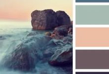 一組實物配色方案 多彩-酷播亮新聞