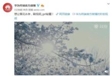 華為Mate 20超微距功能，探知微觀世界的奧祕-酷播亮新聞