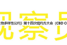 觀察|參加國際談判是一種什麼樣的體驗?-酷播亮新聞