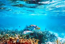 Python 拓展之詳解深拷貝和淺拷貝-酷播亮新聞