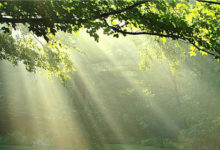 冬季攝影之讓自己的照片溫暖起來-酷播亮新聞