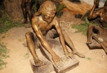 兩對染色體被神秘更改，蘇美爾王表或記載著人類的真正起源-酷播亮新聞