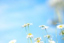 致2019的自己的一句話 致拼搏路上的自己的說說-酷播亮新聞