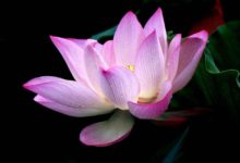 攝影入門後，要學哪些攝影知識？這篇文章告訴你-酷播亮新聞