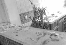 惠州女子圖省心花340萬買別墅樣板間，不料坑慘了-酷播亮新聞