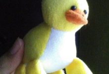 這些反人類的智障設計，只有一句「媽賣批」能形容！-酷播亮新聞