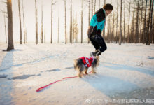 下雪了，就得拍一下-酷播亮新聞