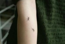 16個紋身想法，女孩在身體上紋上小動物圖案，給人真實視覺感覺-酷播亮新聞