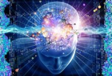 科學家：意識的根源並不產生自大腦，而是高緯度宇宙的映射-酷播亮新聞