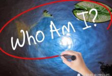 意識從何而來，意識和物質之間的關係是什麼？這關係到意識的起源-酷播亮新聞