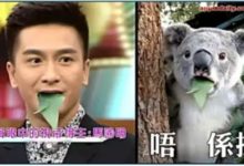 熬了19年還沒拿到視帝的馬國明，TVB不值得！-酷播亮新聞