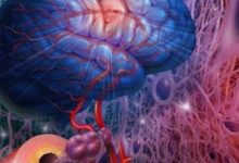 外星人生活在人類肉眼無法觀測的量子層？意識體或許就是外星人-酷播亮新聞