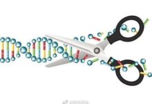 基因編輯的未知可能！-酷播亮新聞