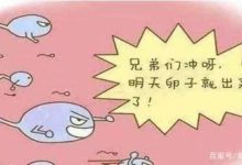 白帶增多，到底是「排卵期」還是「受精卵著床」？千萬別搞錯情況-酷播亮新聞