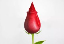 搞定設計印刷常見問題！-酷播亮新聞