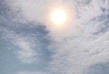 迷途不知返，只因逆掛區的多肉終會有春天！-酷播亮新聞