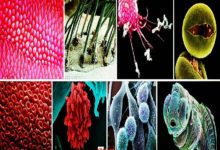 宇宙真的沒有邊界？科學家：有，平行宇宙或真實存在，並互為邊界-酷播亮新聞