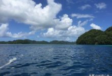 海洋天堂帛琉-酷播亮新聞