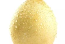 乳腺疾病的核保