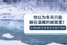 你以為冬天只能躲在溫暖的被窩裏？能99%的人都還沒聽說過它們吧？-酷播亮新聞