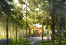 萬科：生長在樹林里的小木屋，回歸自然的格調生活！環球設計18967期-酷播亮新聞