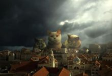 12張超現實攝影大片，每一幅都是一場奇幻的動物歷險記-酷播亮新聞