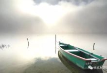 【攝影技法】看過此文，完全、徹底搞懂、弄清相機測光模式-酷播亮新聞