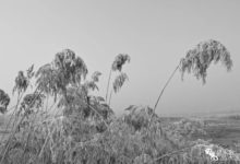 石英傑攝影：易水河遇霧凇-酷播亮新聞