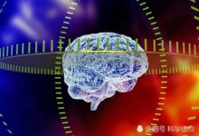 人類大腦開發到了何種程度？100％開發後真的能夠超神嗎？-酷播亮新聞